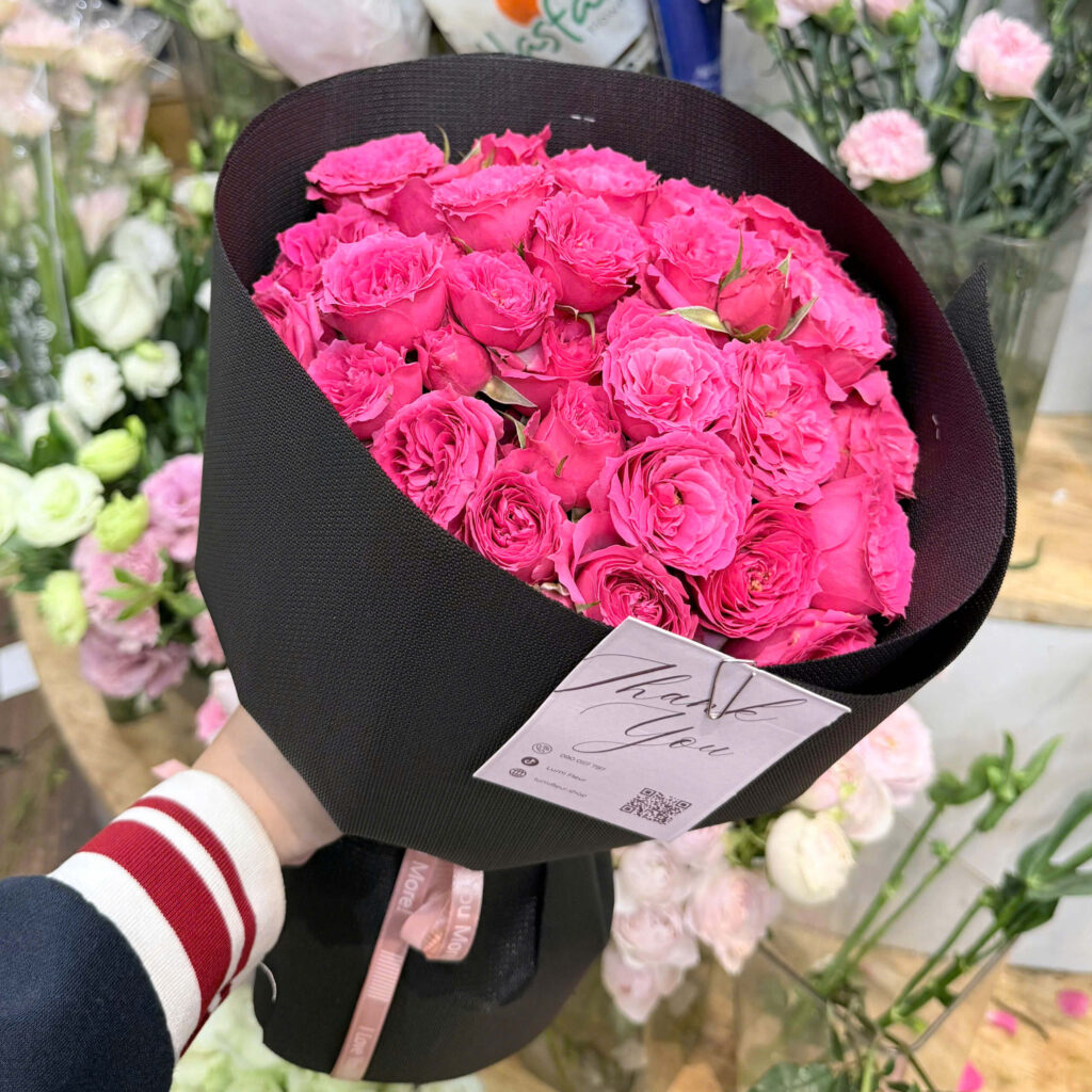 Hoa hồng chùm Sophia